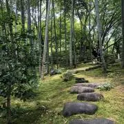 大五郎
