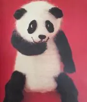 Image of ピカ☆バブル全捨離中　プロフ読んでね