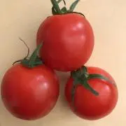とら