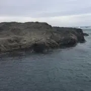 即購入可 とっとこ釣り太郎の画像
