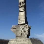 タトロロの画像