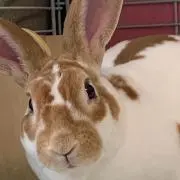 ハリーまま(^^)