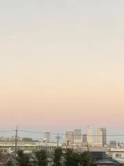 ゆゆの画像