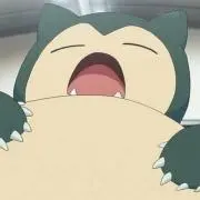 虎の画像