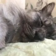 ゆう