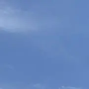 ぴの画像