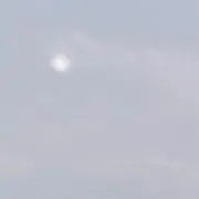 スイコウの画像