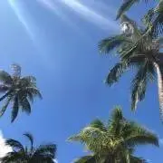 平日は翌日発送できますの画像