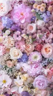 ♡M♡