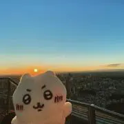 mk⭐︎プロフ必読の画像