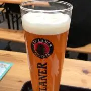 トラヴィスの画像
