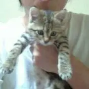 チュン