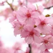 ゆうり☆宜しくお願いします！の画像