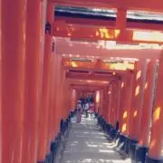 えりなの画像
