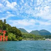 ぴーちの画像