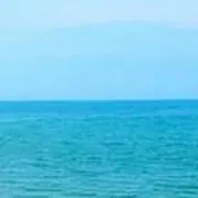ron