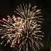りゅの画像