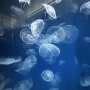 mmの画像