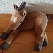 かるごんの画像