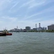 sx90の画像