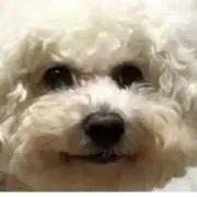 erika1996の画像