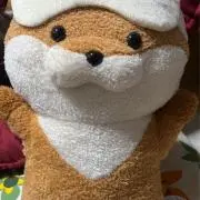 ぬん❀断捨離中の画像