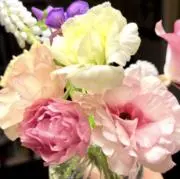 はなの画像