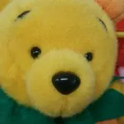 うさうさの画像