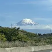 ぴーの画像