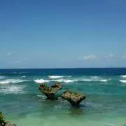 ☆mahalo☆の画像