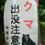 ごんた
