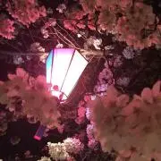 よこ☆プロフ必読お願いします！