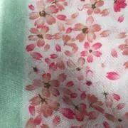 しゅーぼんの画像