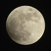 最安値‼️】ラッカ庵野 【ガチ構築】 - メルカリ