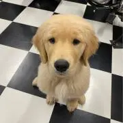 みっつ