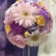 mi_ko