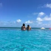 あおい即日発送の画像