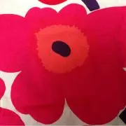 tanaの画像