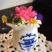 SUNNYの画像