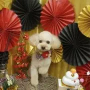 なおなお