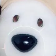 Keeeの画像
