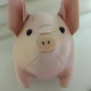 シロの画像