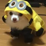 れん