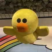 pjの画像