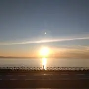 maaaの画像