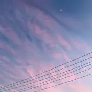 manatuの画像