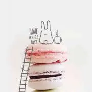 rayの画像