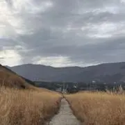 とまとまとの画像