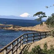 湘南のママの画像