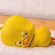Rico